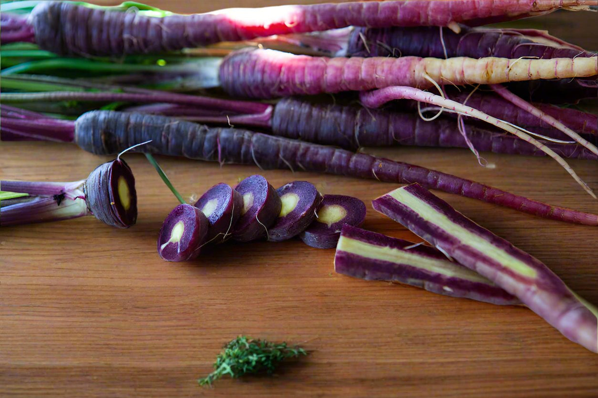 Carrot Seeds - Black Nebula