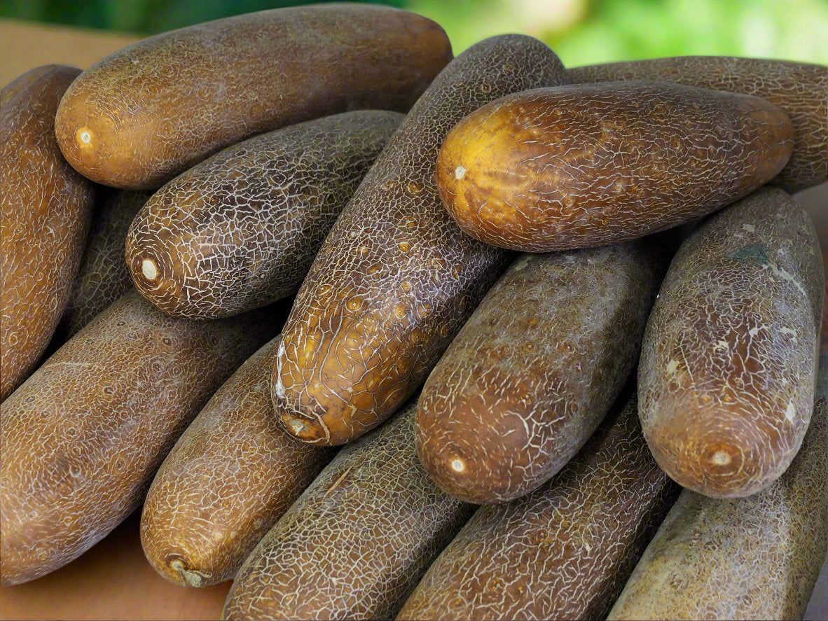 Cucumber Seeds - Vining - Brown Russian