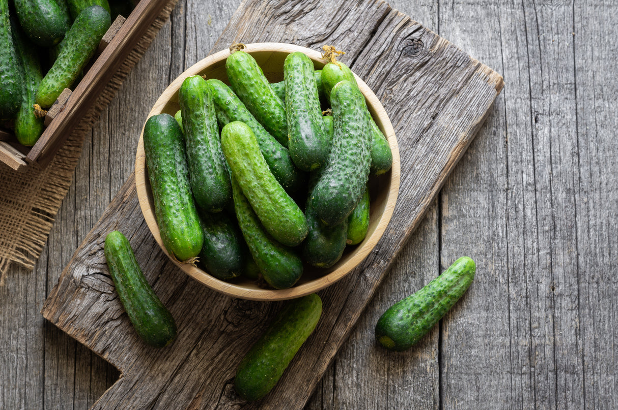 Cucumber Seeds -  Bush - Pickling