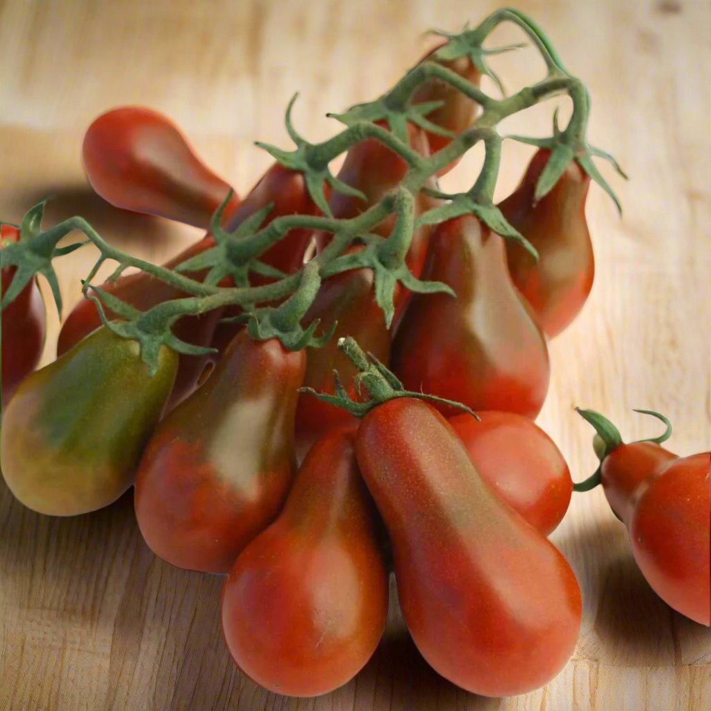 Tomato Seeds - Indeterminate - Chocolate Pear Cherry