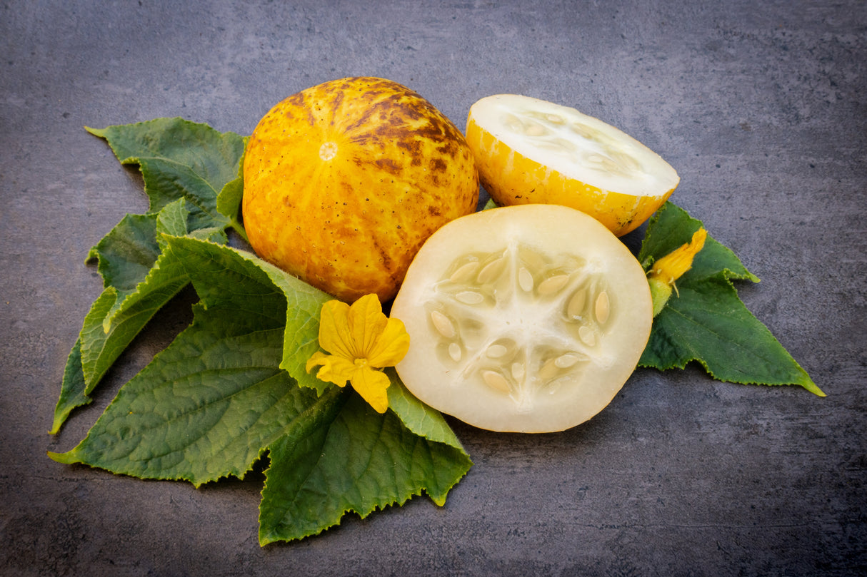 Cucumber Seeds - Vining - Lemon