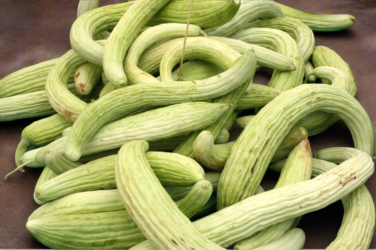 Cucumber Seeds - Vining - Metki Pale Green Armenian Yard Long