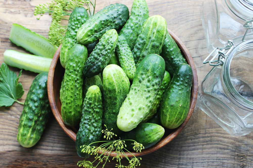 Cucumber Seeds - Vining - National Pickling