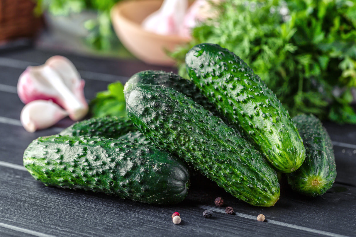 Cucumber Seeds - Vining - Sumter