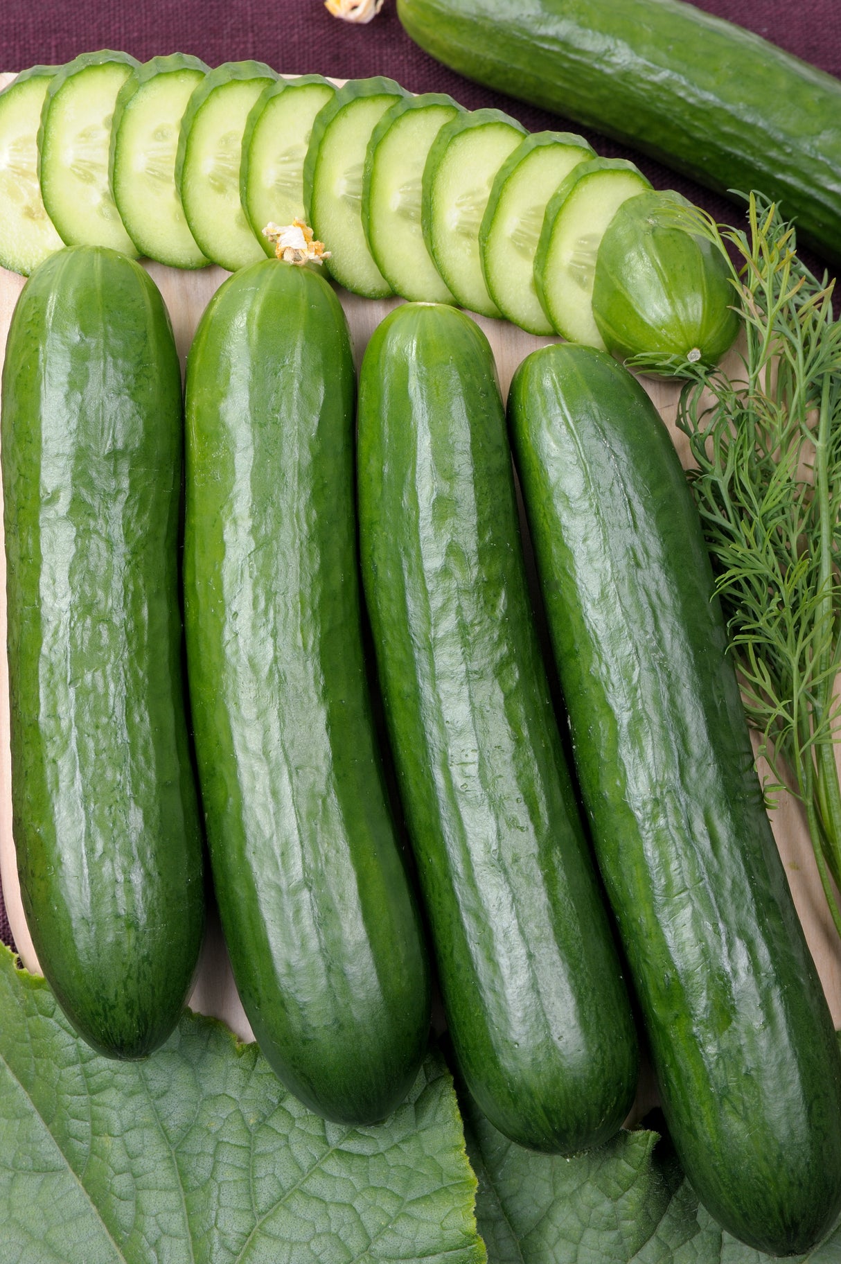 Cucumber Seeds - Vining - Tendergreen Burpless