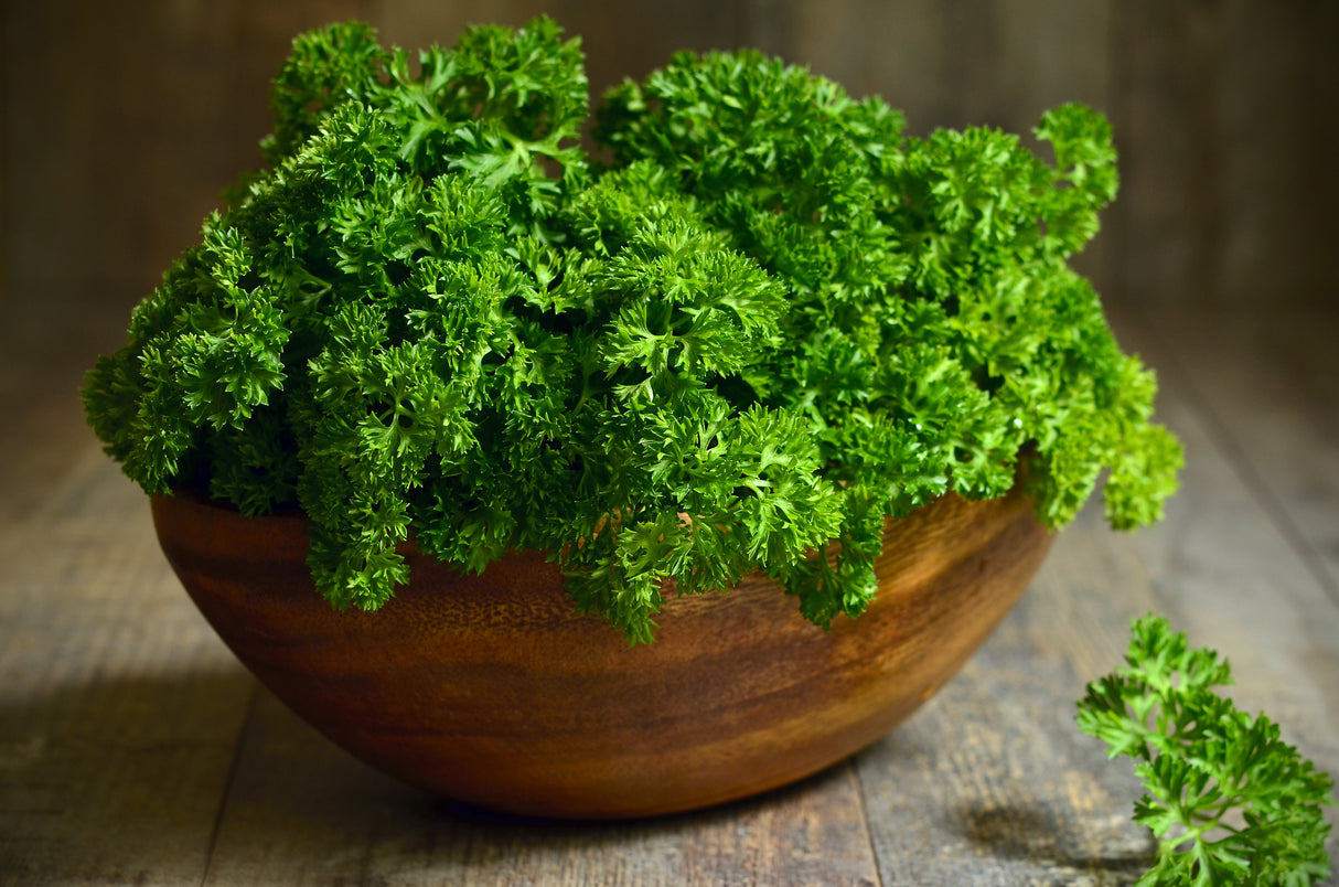 Parsley Seeds - Triple Moss Curled