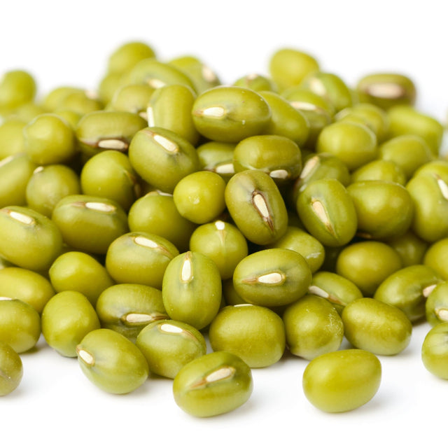 Bean Seeds - Bush - Mung Bean - Alliance of Native Seedkeepers - Vegetable Seeds