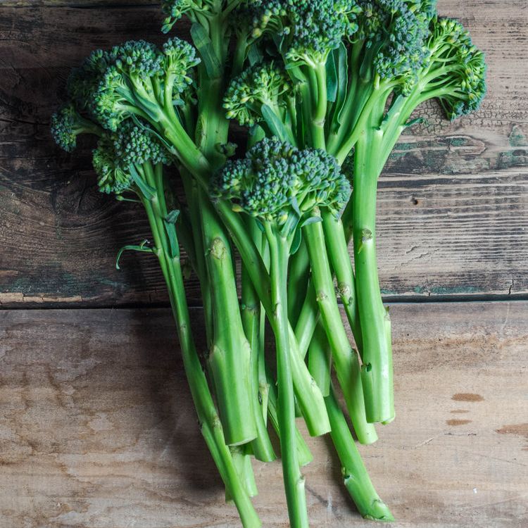 Broccoli Seeds - Rabe Natalina Di Fasano Cima Grande - Alliance of Native Seedkeepers - Vegetable Seeds