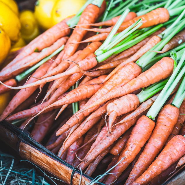 Carrot Seeds - Little Fingers - Alliance of Native Seedkeepers - Vegetable Seeds