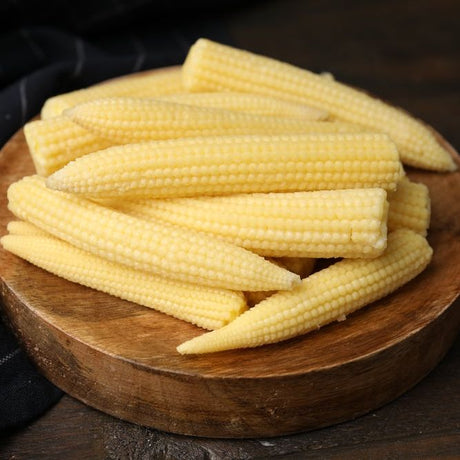 Corn Seeds - Popcorn - Japanese Hulless - Alliance of Native Seedkeepers - Vegetable Seeds