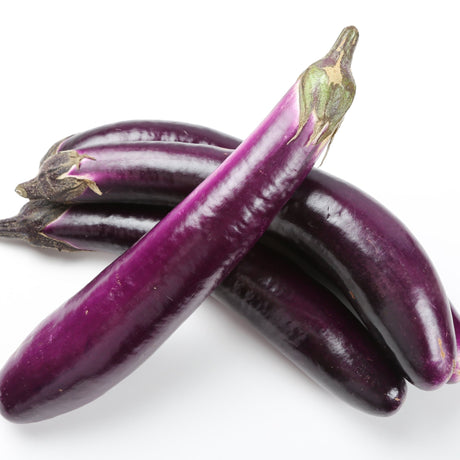 Eggplant Seeds - Italian Long Purple - Alliance of Native Seedkeepers - Vegetable Seeds