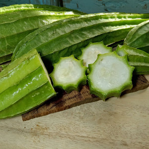 Gourd Seeds - Luffa Gourd - Alliance of Native Seedkeepers - Vegetable Seeds