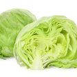 Lettuce Seeds - Batavian Great Lakes 118 - Alliance of Native Seedkeepers - Vegetable Seeds