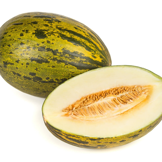 Melon Seeds - Piel de Sapo Melon - Alliance of Native Seedkeepers - Vegetable Seeds