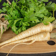 Parsley Seeds - Hamburg Rooted - Alliance of Native Seedkeepers - Vegetable Seeds