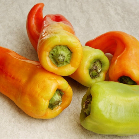 Pepper Seeds - Sweet - Cubanelle - Alliance of Native Seedkeepers - Vegetable Seeds