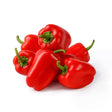 Pepper Seeds - Sweet - Miniature Red Bell Pepper - Alliance of Native Seedkeepers - Vegetable Seeds