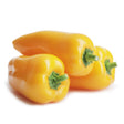 Pepper Seeds - Sweet Miniature Yellow Bell Pepper - Alliance of Native Seedkeepers - Vegetable Seeds