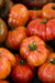 Tomato Seeds - Big Rainbow Alliance of Native Seedkeepers