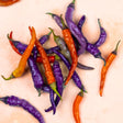 Bisque Pepper Seeds - Hot - Buena Mulata Alliance Of Native Seedkeepers Vegetable Seeds