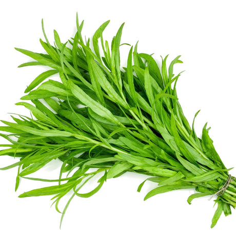 Tarragon Seeds - Russian - Alliance of Native Seedkeepers - Herb Seeds