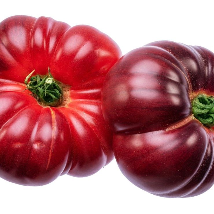 Tomato Seeds - Indeterminate - Cherokee Purple Tomato Standard - Alliance of Native Seedkeepers - Vegetable Seeds