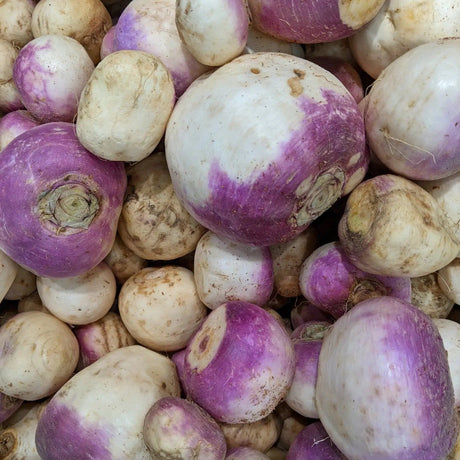 American Purple Top Rutabaga Seeds - Alliance of Native Seedkeepers - 1. All Vegetables