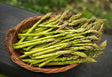 Asparagus Seeds - Mary Washington - Alliance of Native Seedkeepers - Asparagus