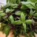 Basil Seeds - Sweet Thai Large Leaf - Alliance of Native Seedkeepers -