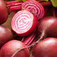 Beet Seeds - Chioggia Seeds - Alliance of Native Seedkeepers - Beets