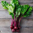 Beet Seeds - Early Wonder Tall Top - Alliance of Native Seedkeepers - 1. All Vegetables