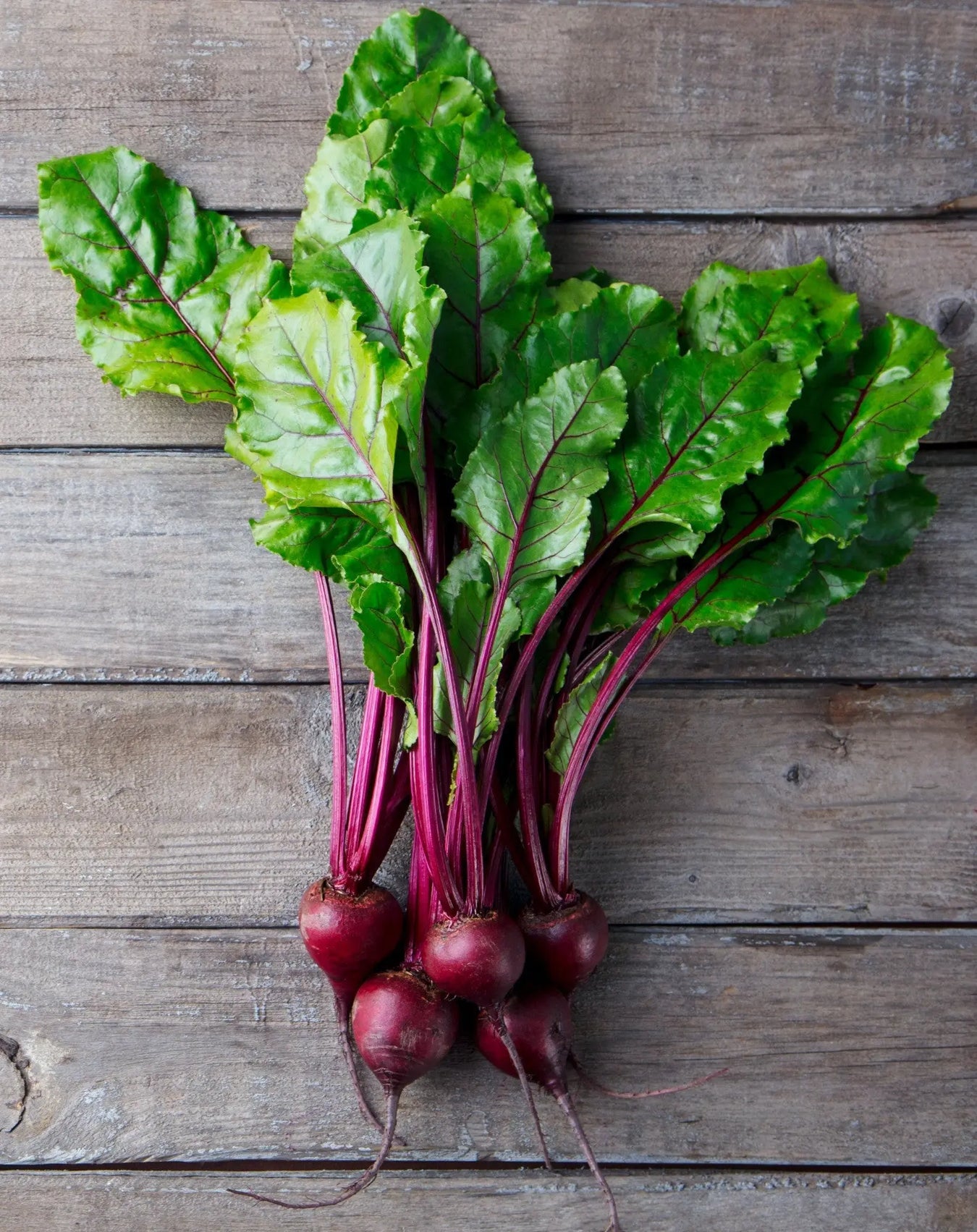 Heirloom Beet Seeds