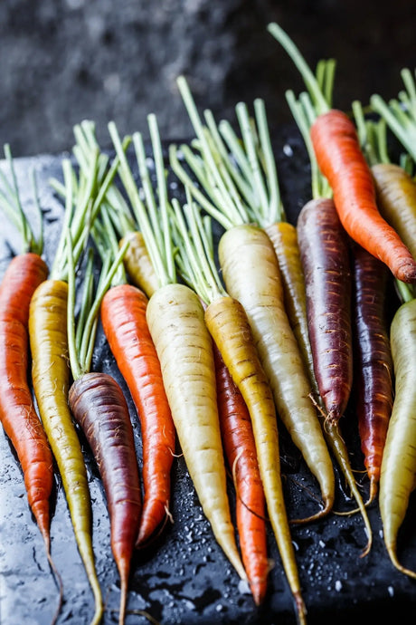 Carrot Seeds - Rainbow Mix - Alliance of Native Seedkeepers - Carrots