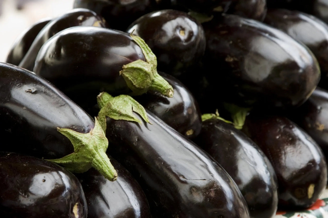 Heirloom Eggplant Seeds
