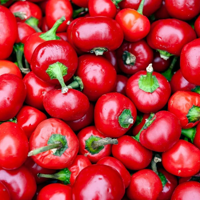 Pepper Seeds - Hot - Red Cherry - Alliance of Native Seedkeepers - Pepper