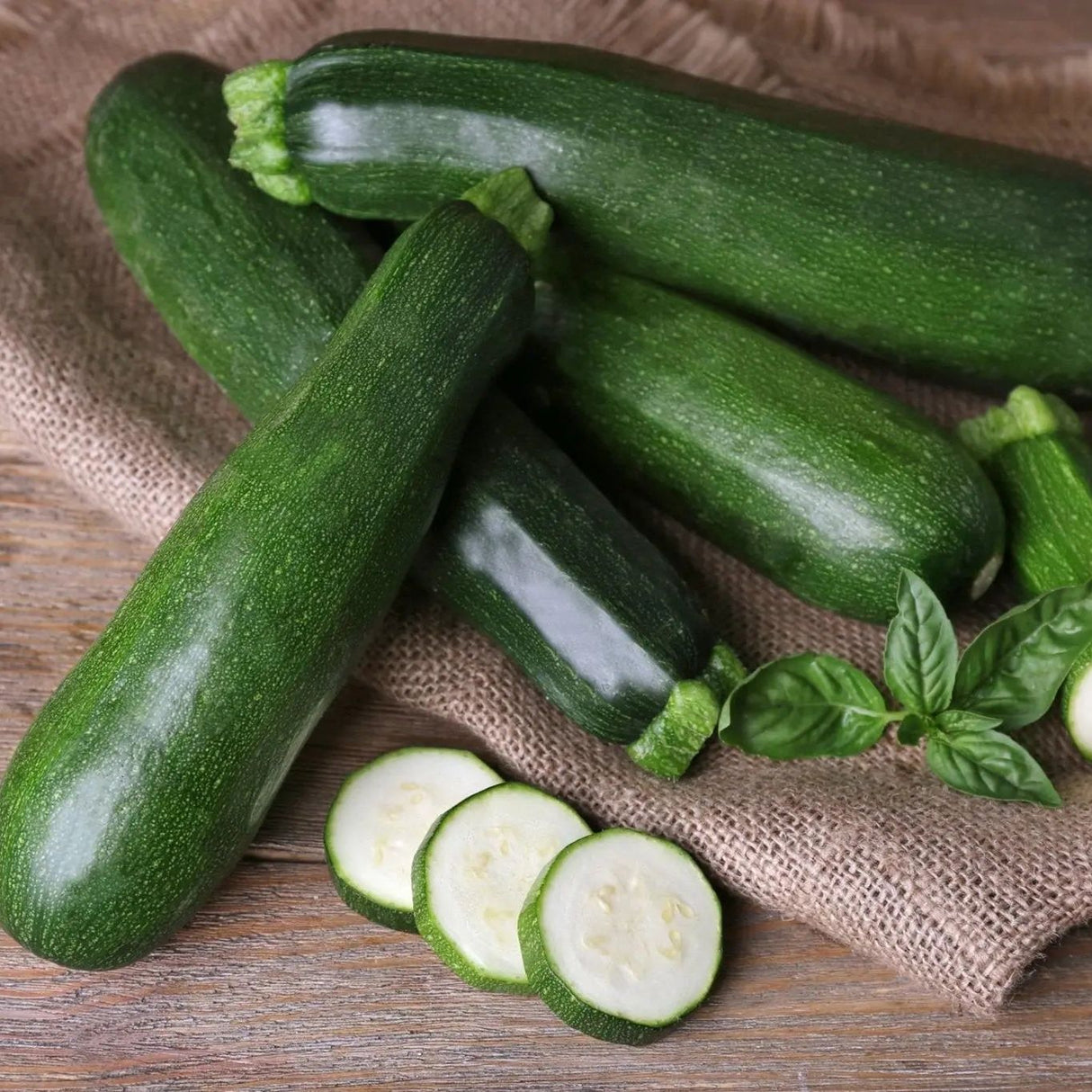 Squash Seeds - Black Beauty Zucchini - Alliance of Native Seedkeepers - Squash