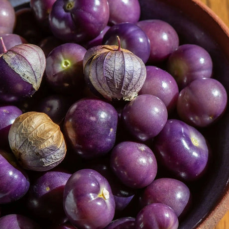 Tomatillo Seeds - Really Purple - Alliance of Native Seedkeepers -