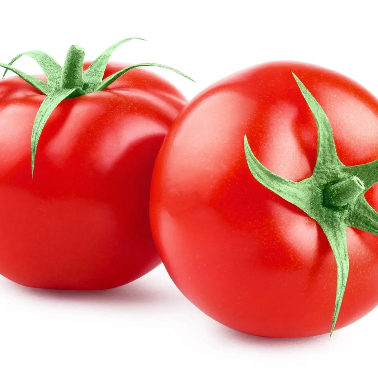 Tomato Seeds - Bonny Best - Alliance of Native Seedkeepers - Tomato