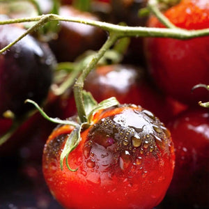 Tomato Seeds - Indigo Cherry Drops - Alliance of Native Seedkeepers - 0. New Items 2022