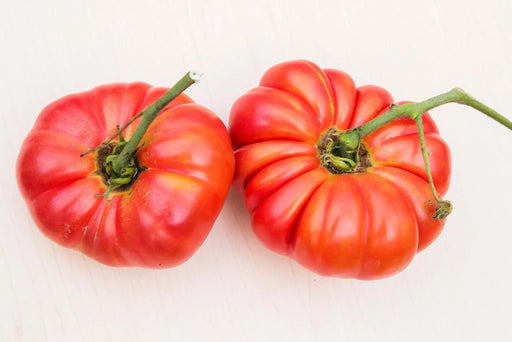 Tomato Seeds - Great White Beefsteak — Alliance of Native Seedkeepers